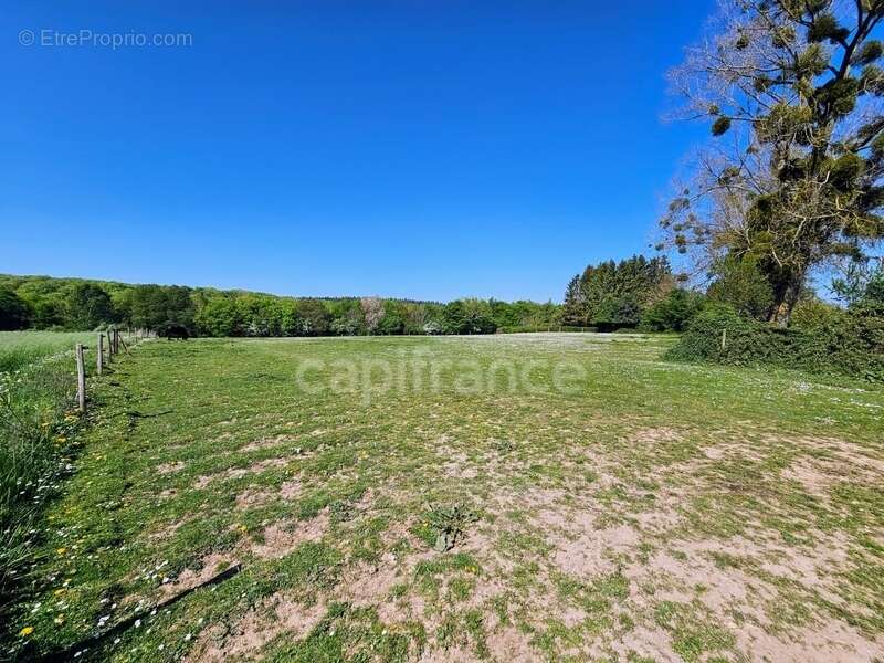 Maison à BLANGY-SUR-BRESLE