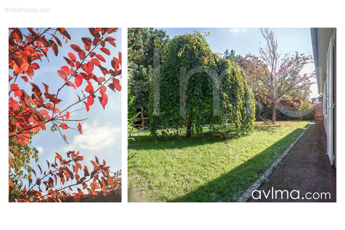 Maison à FEUCHEROLLES