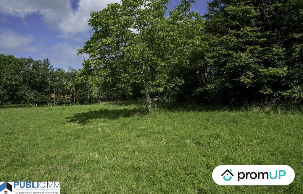 Terrain à SAINT-JUNIEN