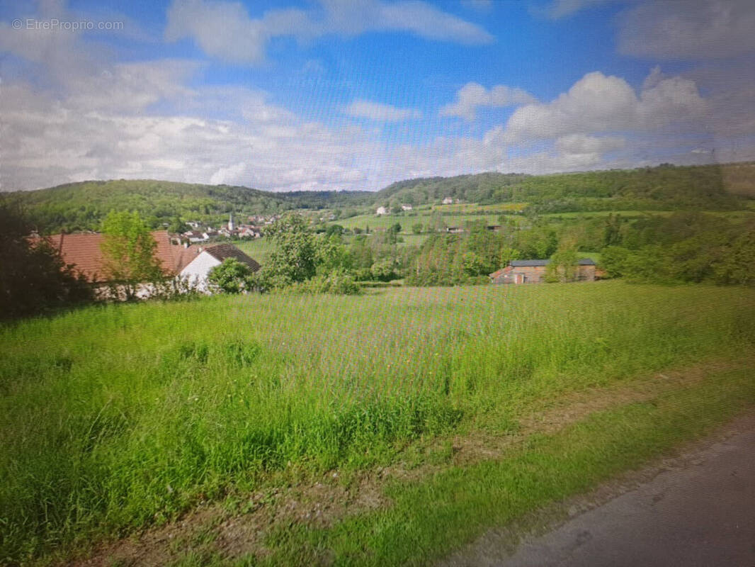 Terrain à QUINCEROT