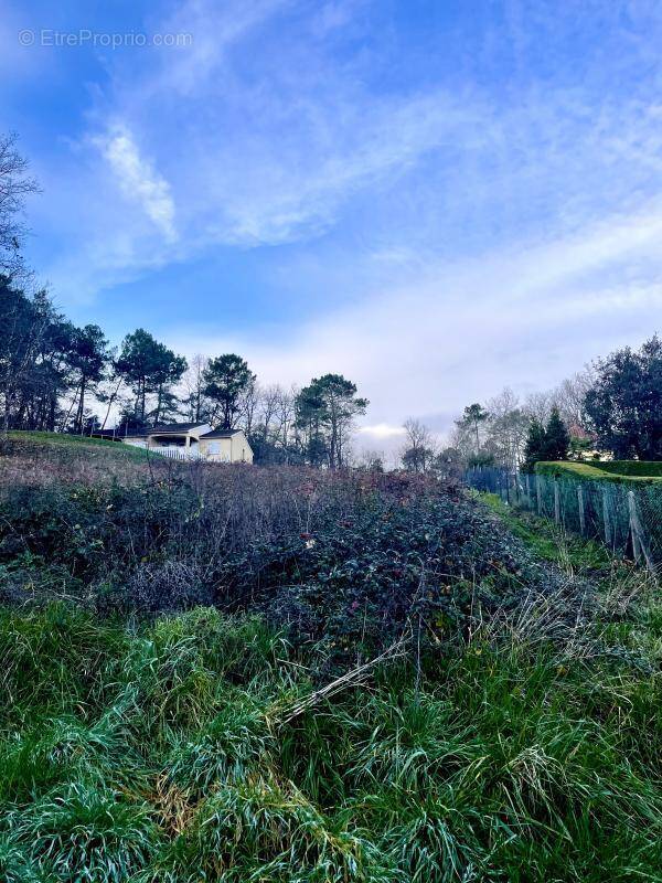 Terrain à CHANCELADE