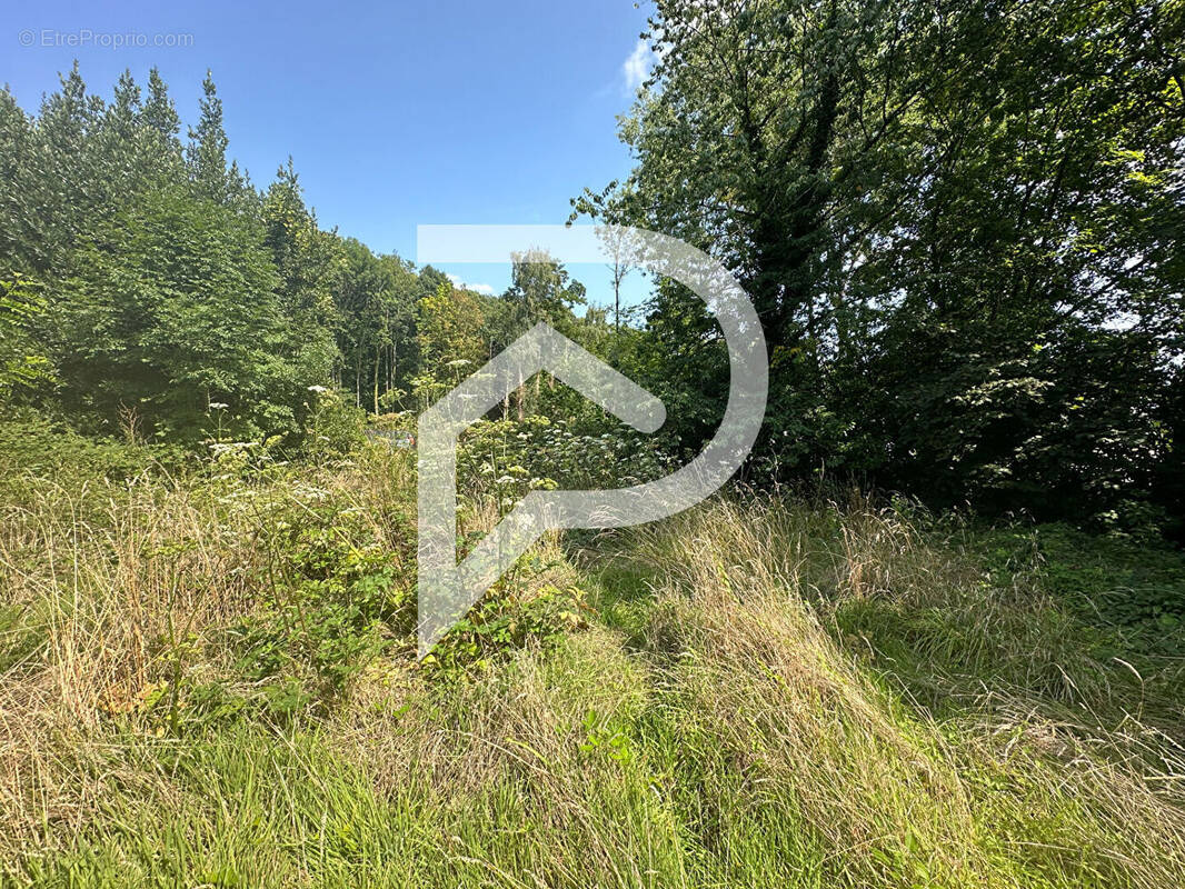 Terrain à MONTGE-EN-GOELE