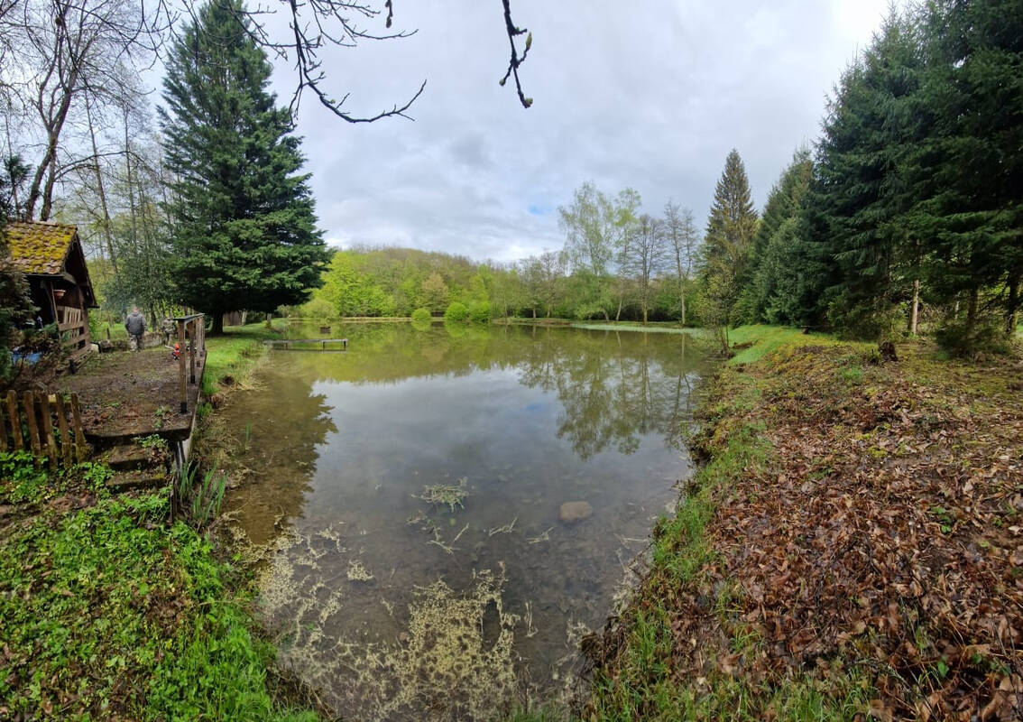 Terrain à PLANCHER-BAS