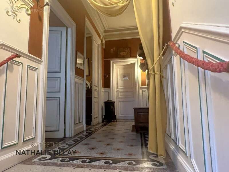 Orleans, centre, a vendre, hôtel particulier 400 m², jardin - photo 5