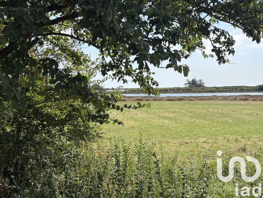 Photo 2 - Maison à RIANTEC