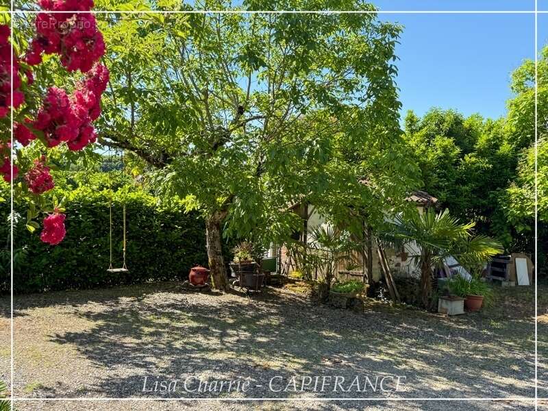 Propriété aux multiples possibilités : 2 maisons, studio et dépendances sur 3 007 m², proche de NOGARO (32) - photo 29