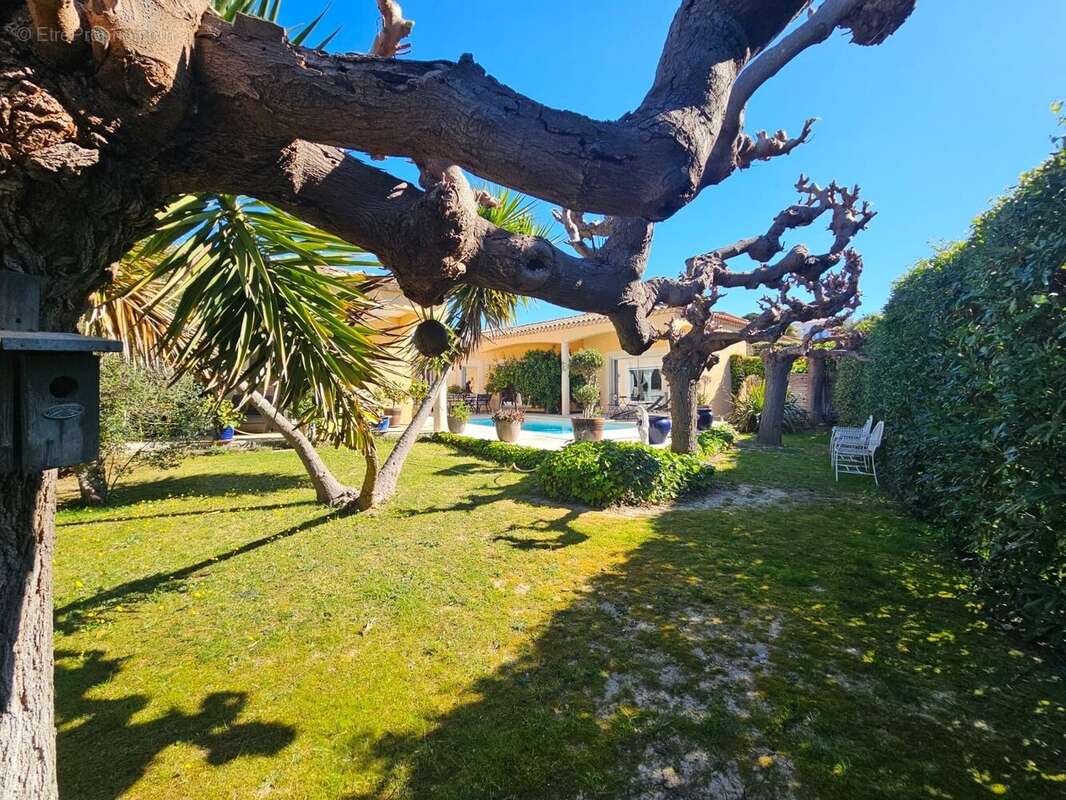 Maison 157 m² à Bouzigues  - photo 2