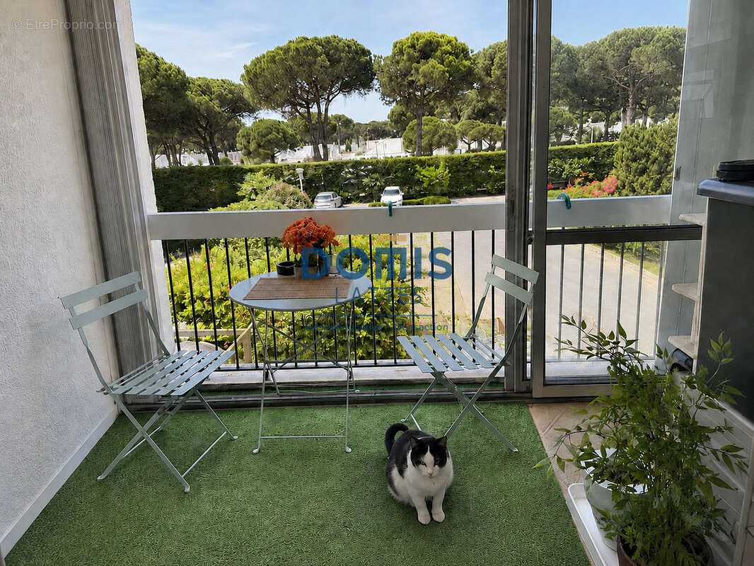 Appartement à LA GRANDE-MOTTE