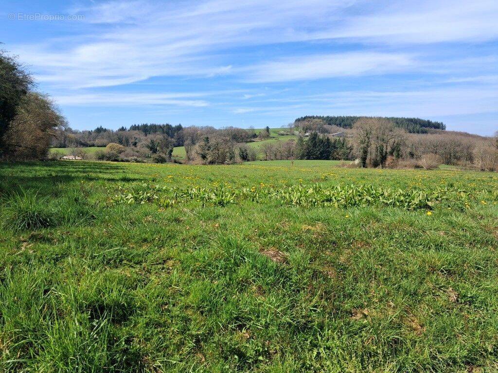 Terrain à NEUVIC-ENTIER