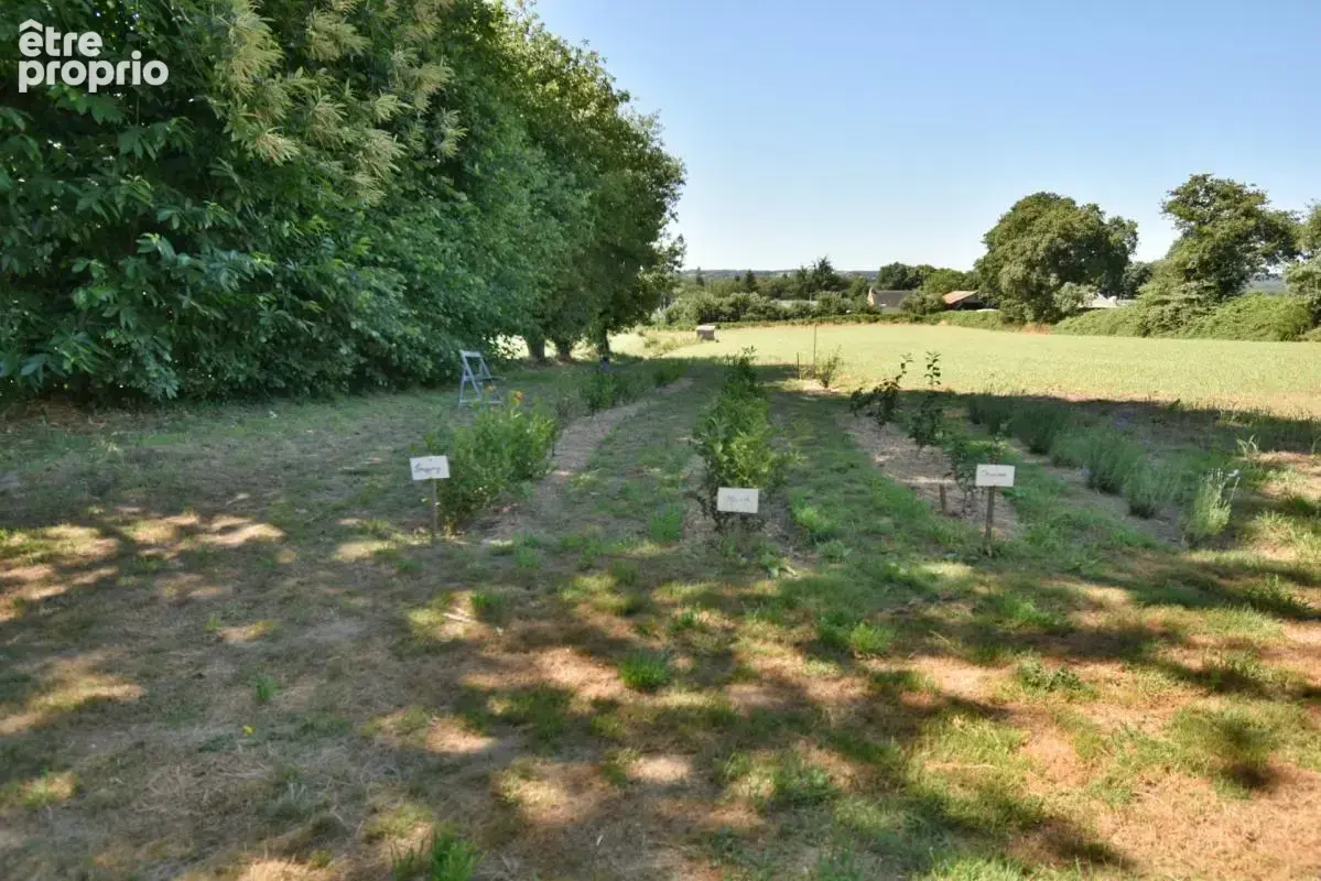 Prix réajusté! Propriété de 1,5 hectares avec ancienne chaumière et maison de 110m² - photo 11