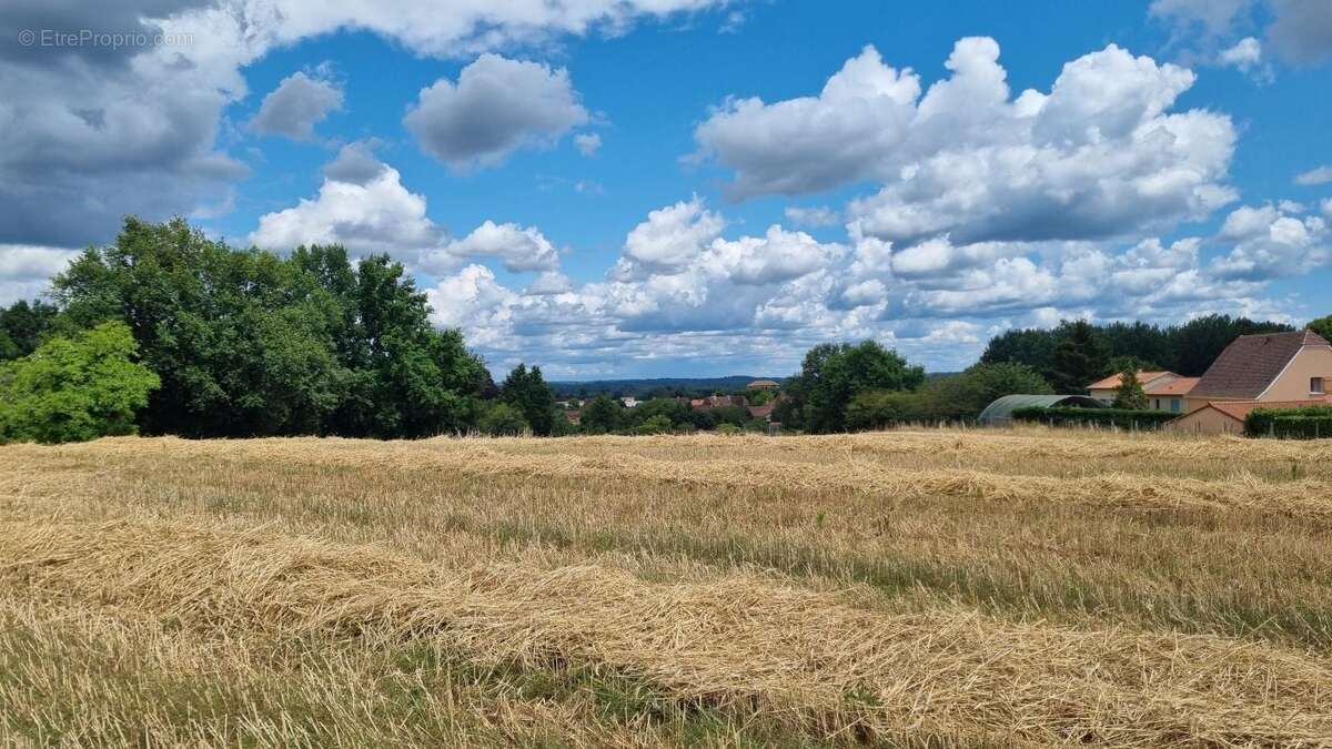Terrain à Cendrieux - photo 3