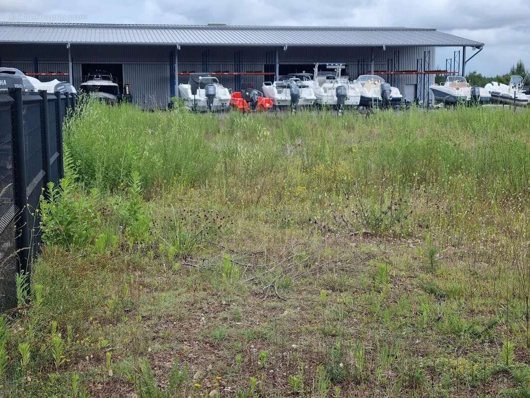 Terrain à SANGUINET