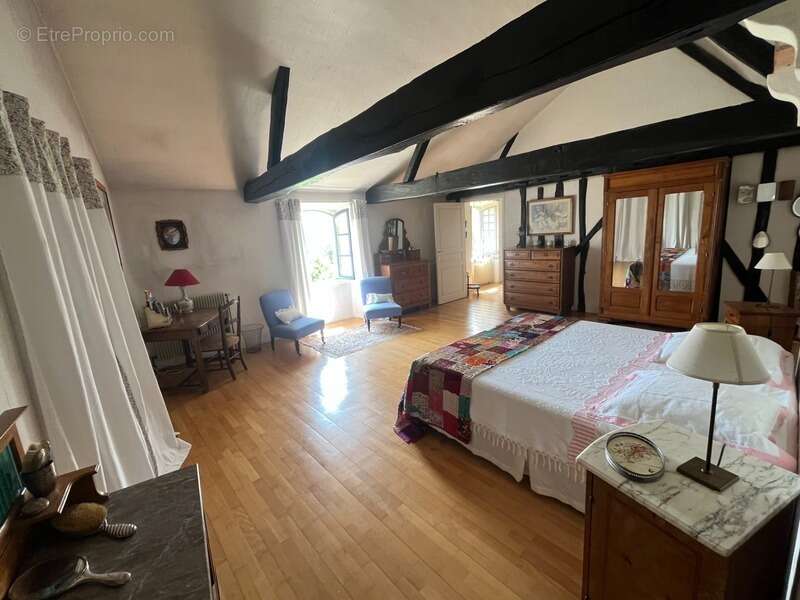 PLAISANCE DU GERS 10 min: ELEGANTE MAISON DE CARACTERE, restaurée par architecte, 320m2, 4700m2 en partie clos - photo 33