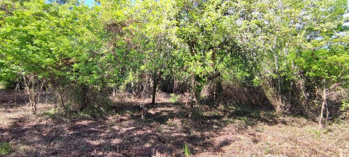 Terrain à VILLEFRANCHE-DE-LONCHAT