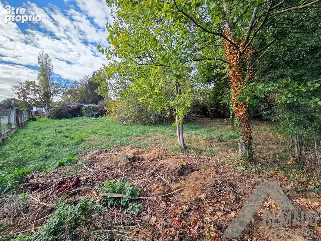 Terrain 540 m² à vendre à Martinet (85150) - photo 2