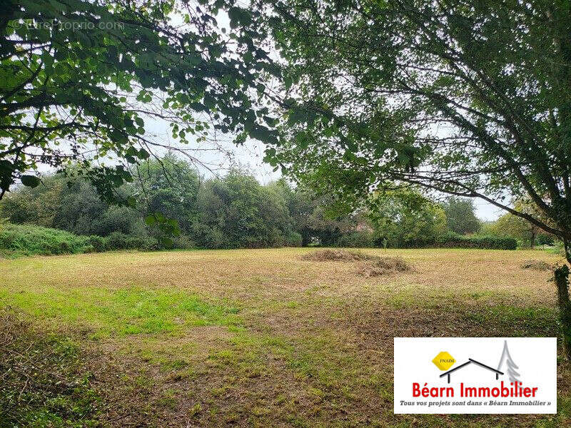 Terrain à AUTEVIELLE-SAINT-MARTIN-BIDEREN