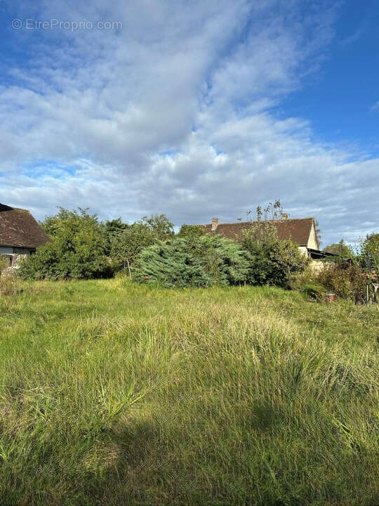 Terrain à LA COUTURE-BOUSSEY