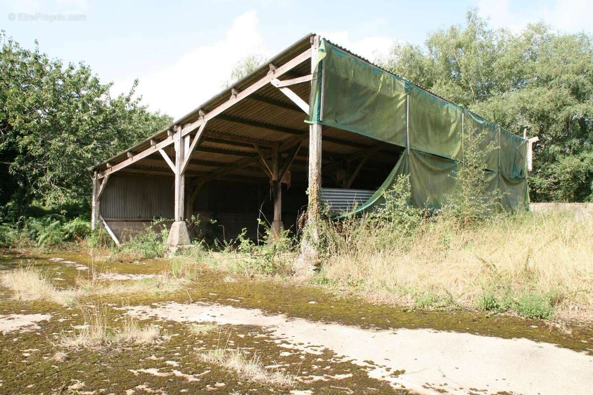 Vente Terrain Guehenno(56420) 34 000ï¿œ - photo 4