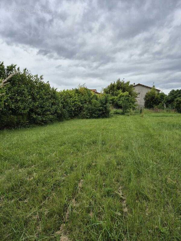Terrain à DAMMARIE