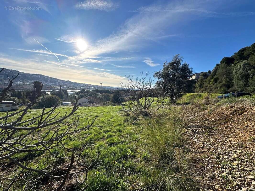 Terrain à SAINT-LAURENT-DU-VAR