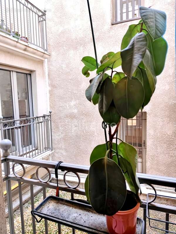 Appartement à vendre 4 pièces - Centre Historique - MONTPELLIER (34) - photo 8