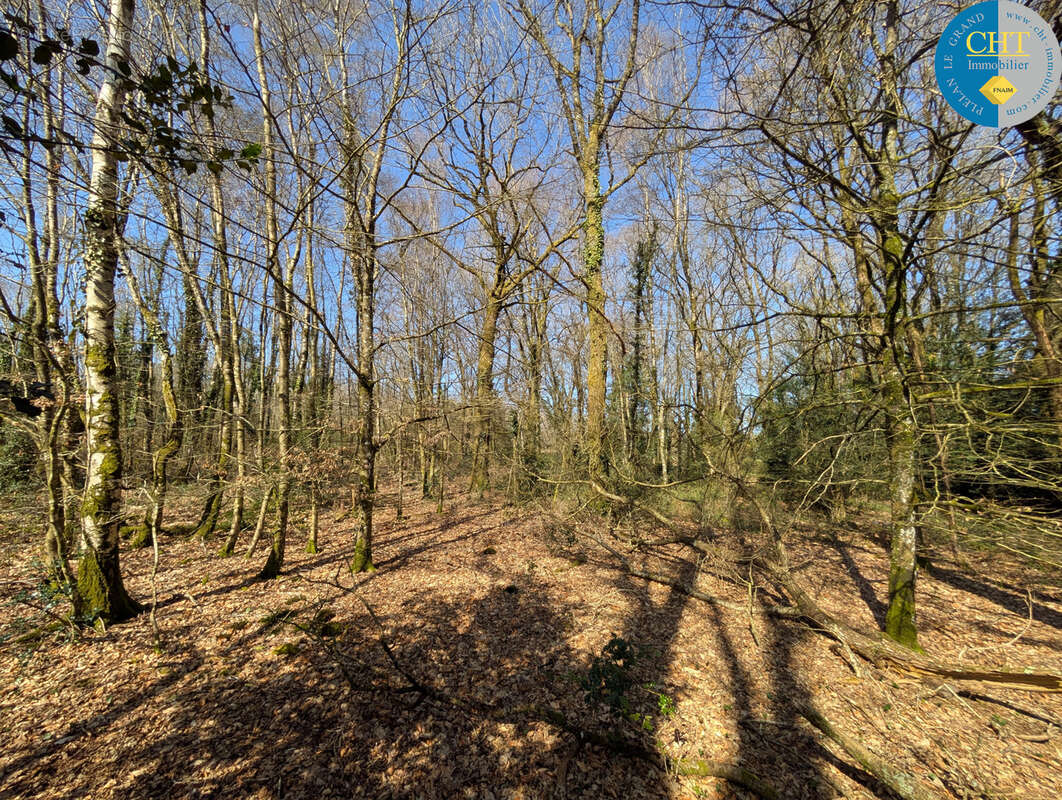 Terrain à CAMPENEAC
