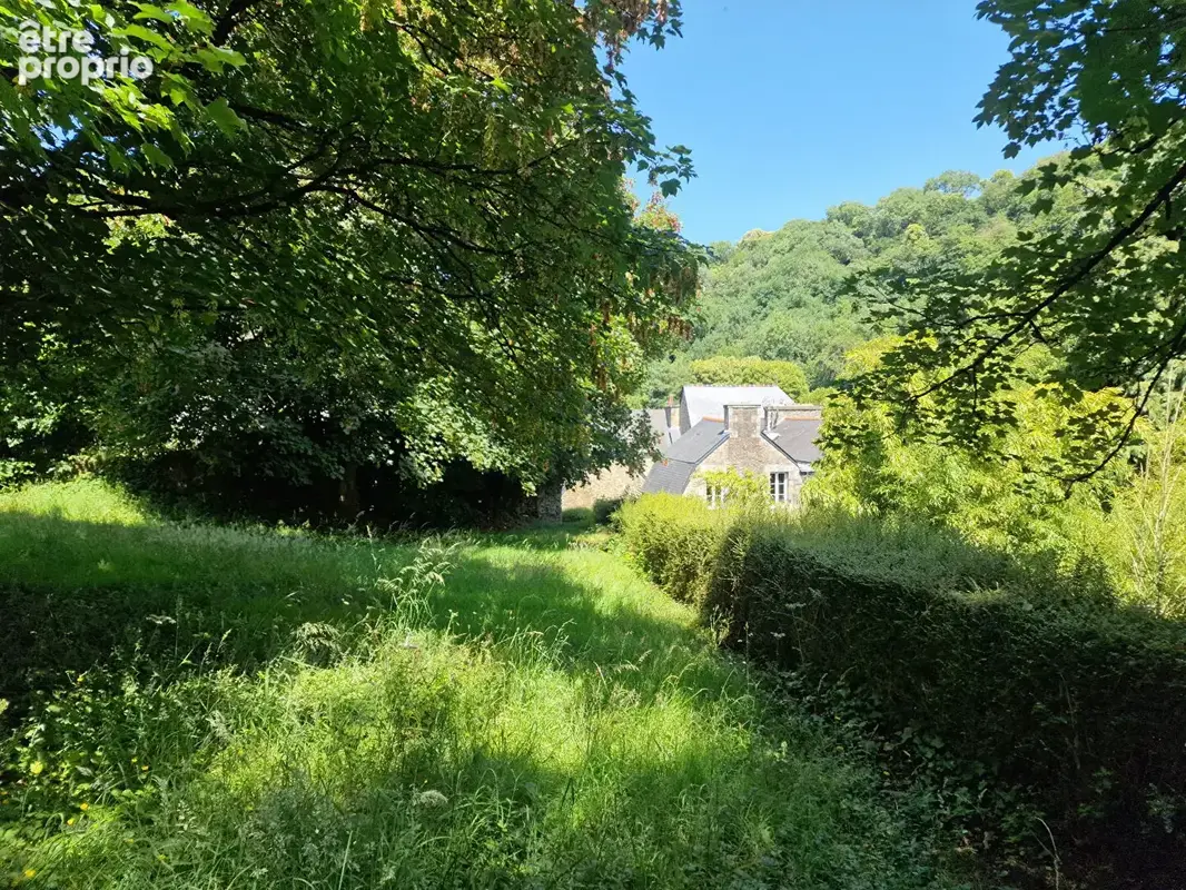 Dinan - Maison de caractère au coeur de la vallée, près de la rivière - grand jardin avec vues dégagées - photo 14