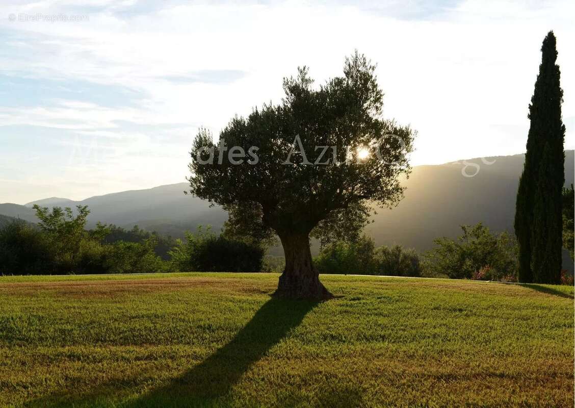 Propriété unique de 27 hectares au calme - superbes vues - photo 33