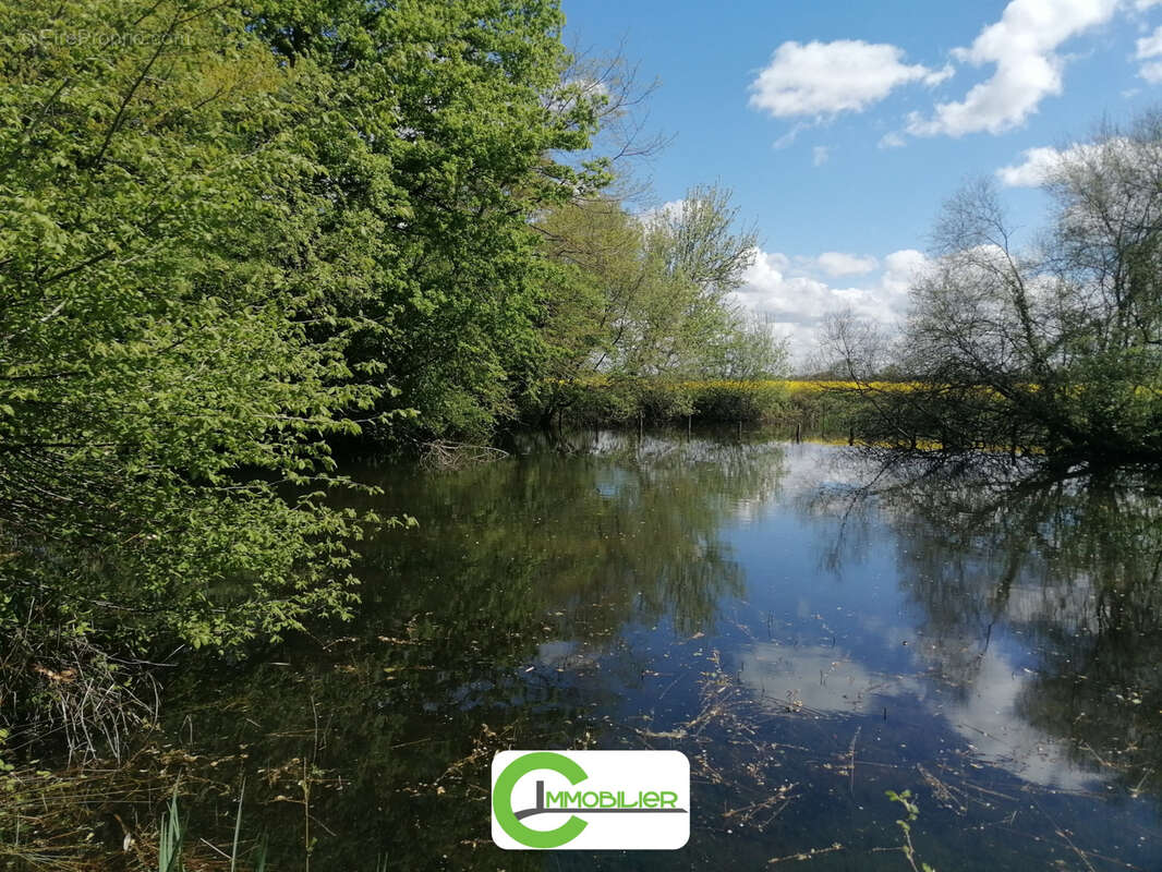Maison de campagne - photo 13
