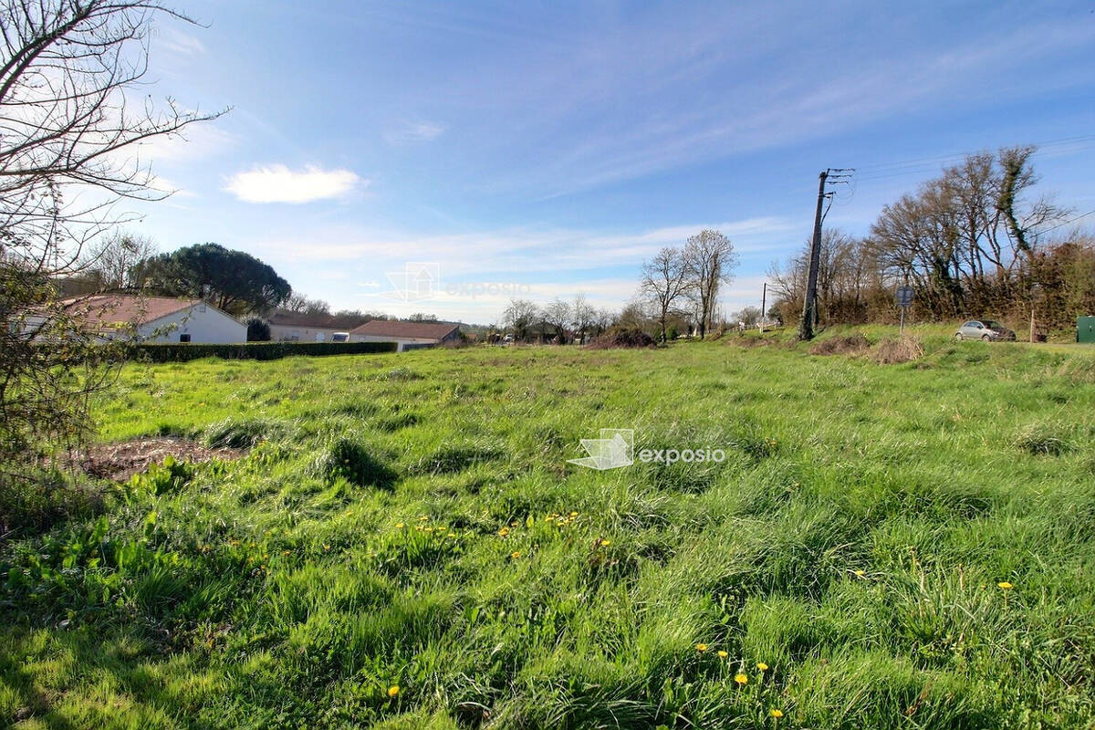 Terrain à LA CHAPELLE-BATON