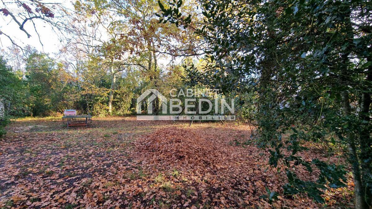 Terrain à ANDERNOS-LES-BAINS