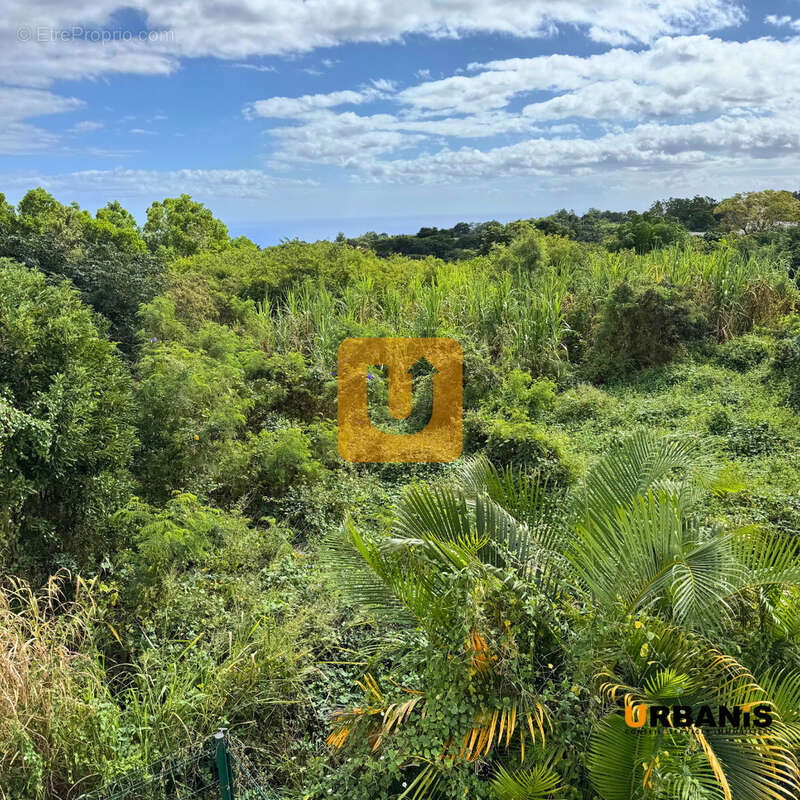 Maison à SAINT-PAUL