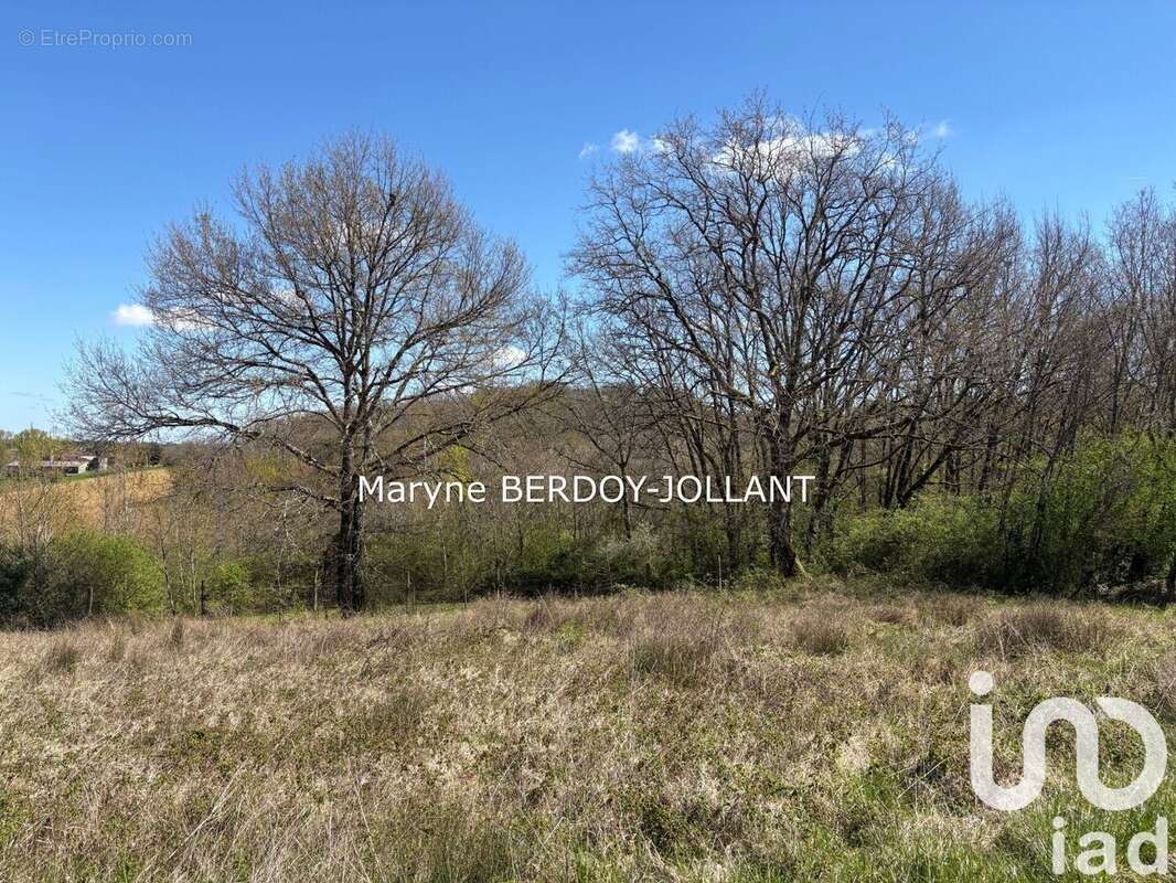 Photo 2 - Terrain à AUBIAC