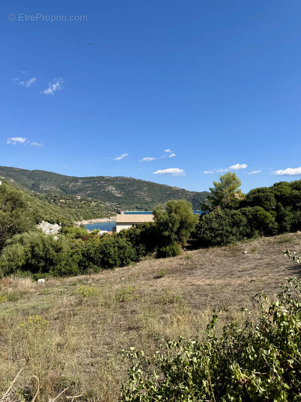 Terrain à CARGESE