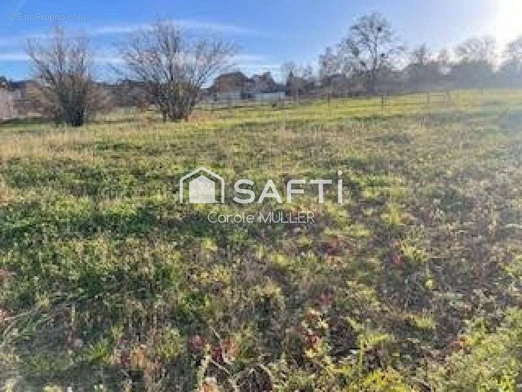 Photo 1 - Terrain à GRINDORFF-BIZING
