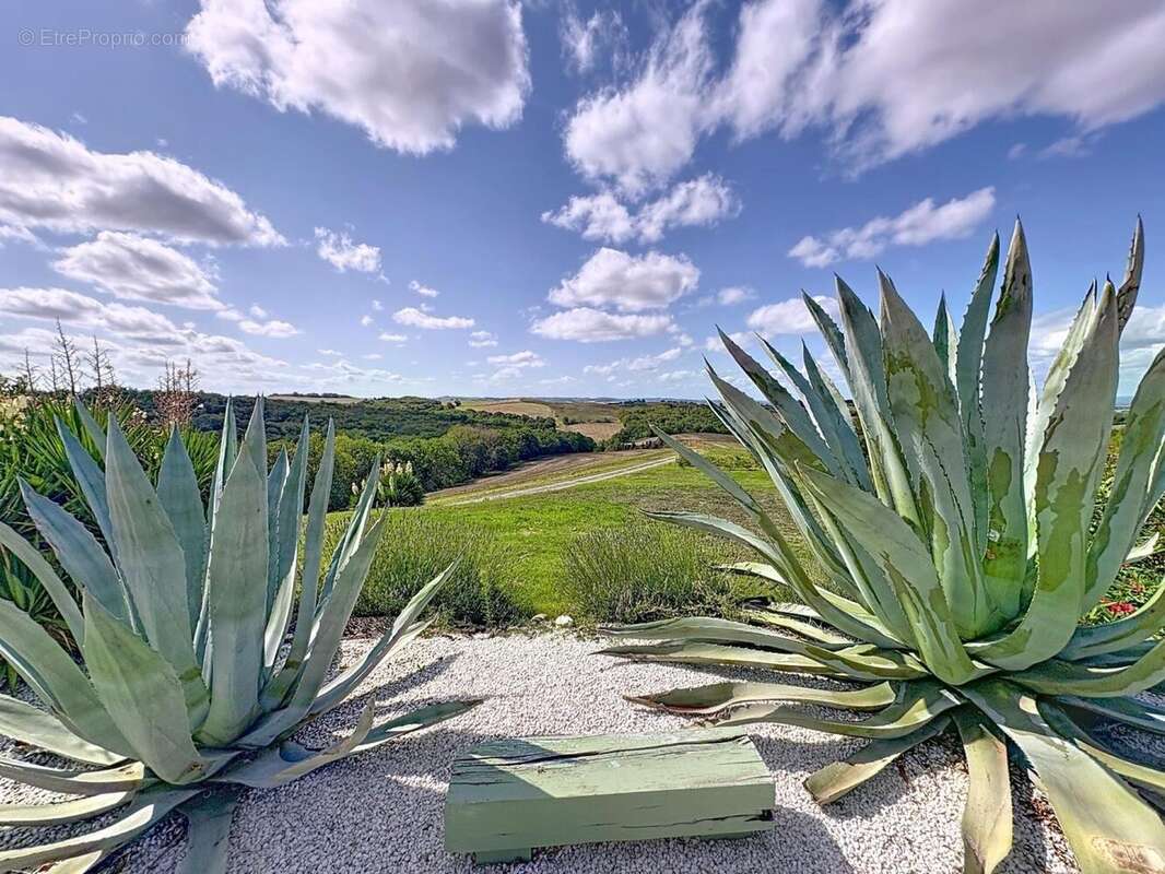 Photo 2 - Maison à MONTREAL