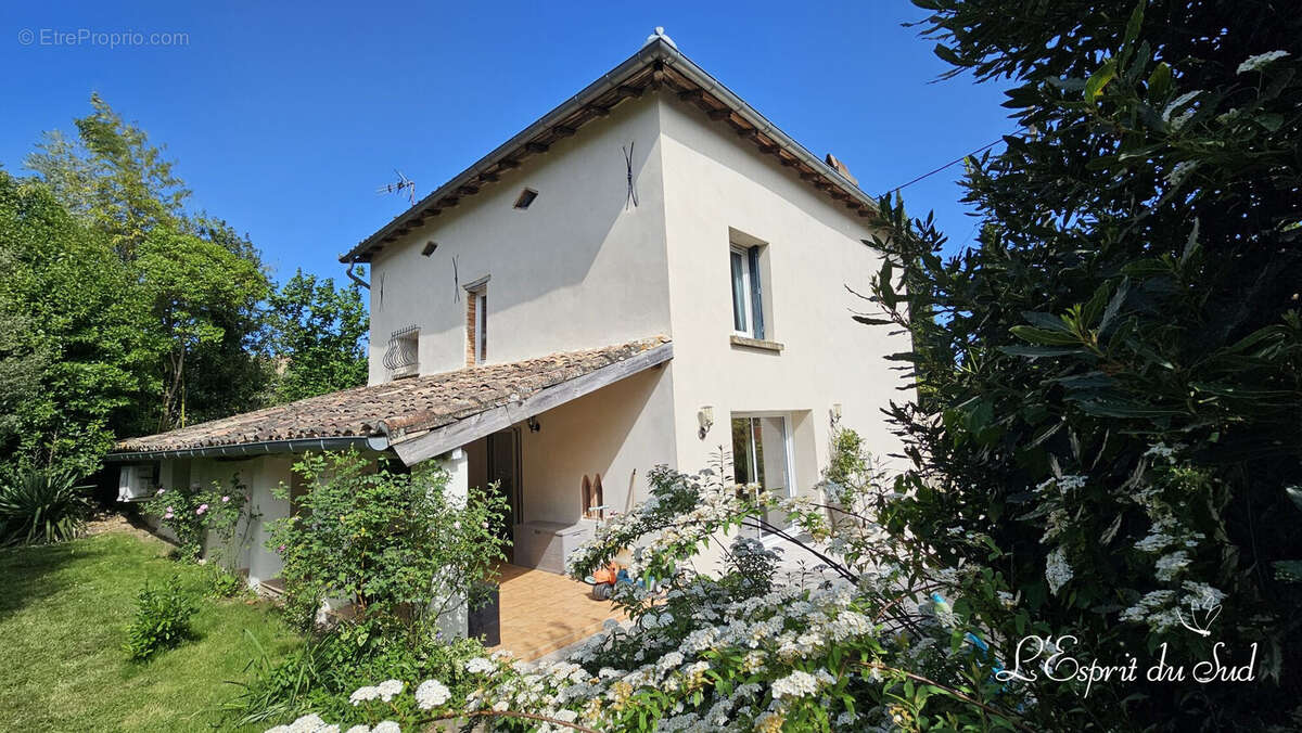 Maison à RABASTENS