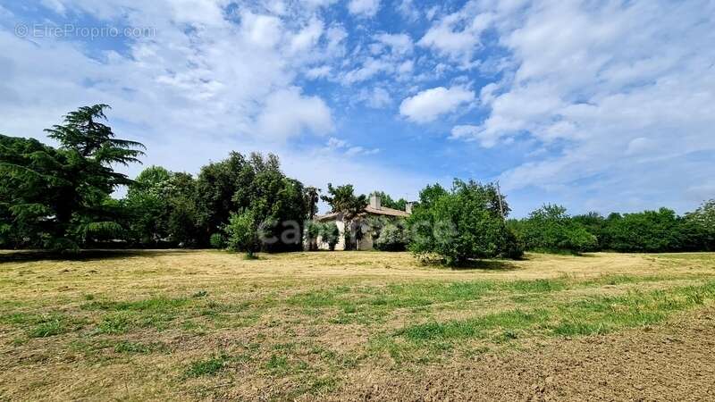 À vendre : Propriété à restaurer, à 10 mn d'Auvillar, d'environ 240 m2 habitables, sur terrain de 7400 m2  (82) - photo 16