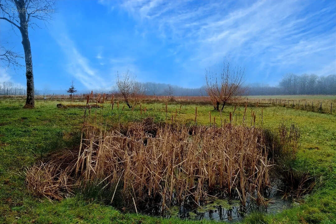 Maison à BOIS-DE-GAND