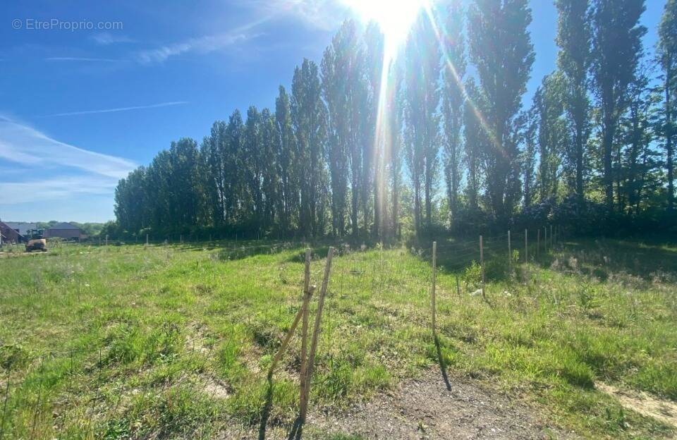 Terrain à MERIGNIES