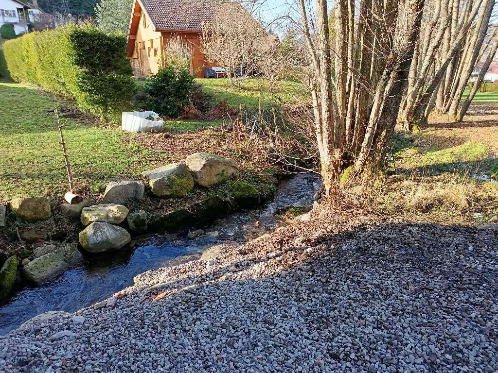 Inédit à Gérardmer ! Quadruplex avec Piscine intérieure - photo 7