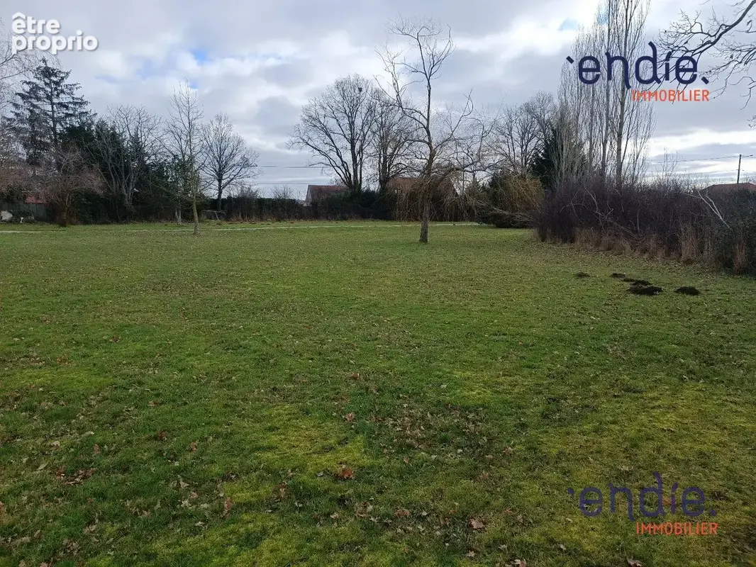 Terrain 2 916 m² à vendre à Saint-Angel (03170) - photo 4