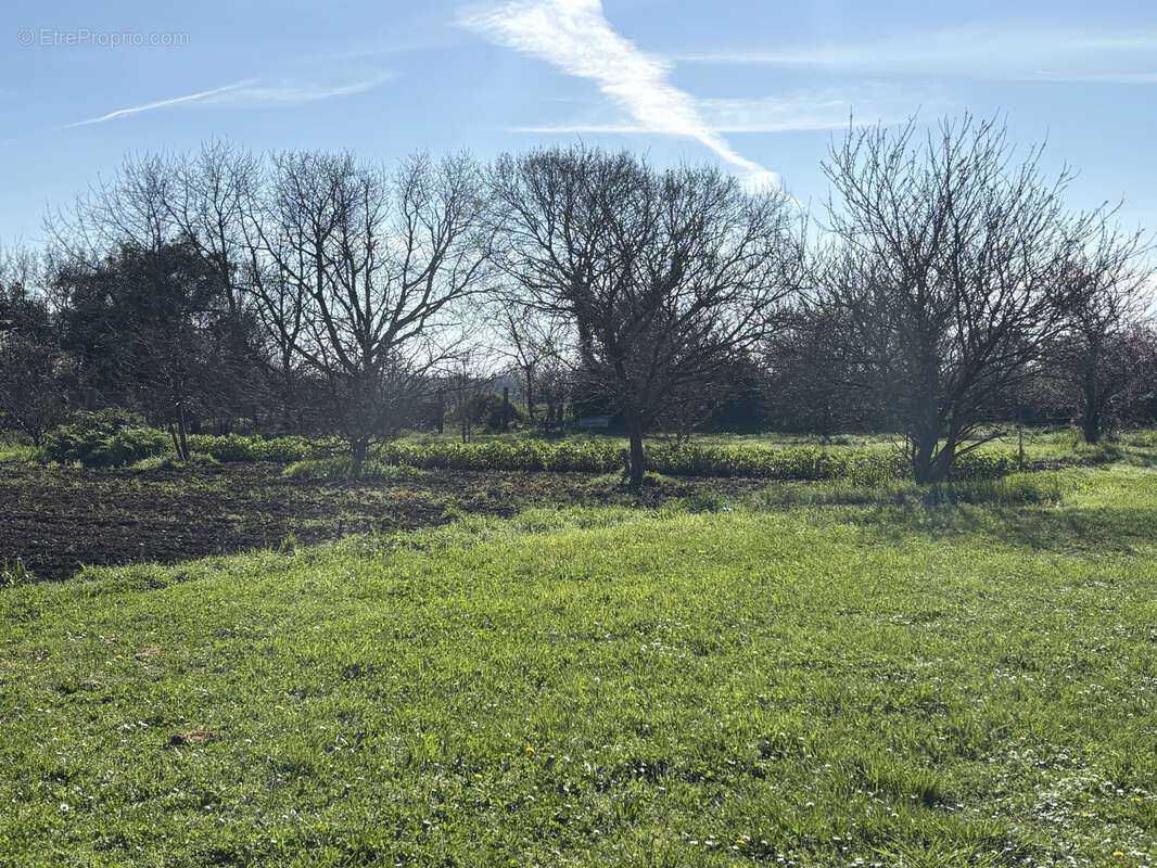 Maison à AIGREFEUILLE-D'AUNIS
