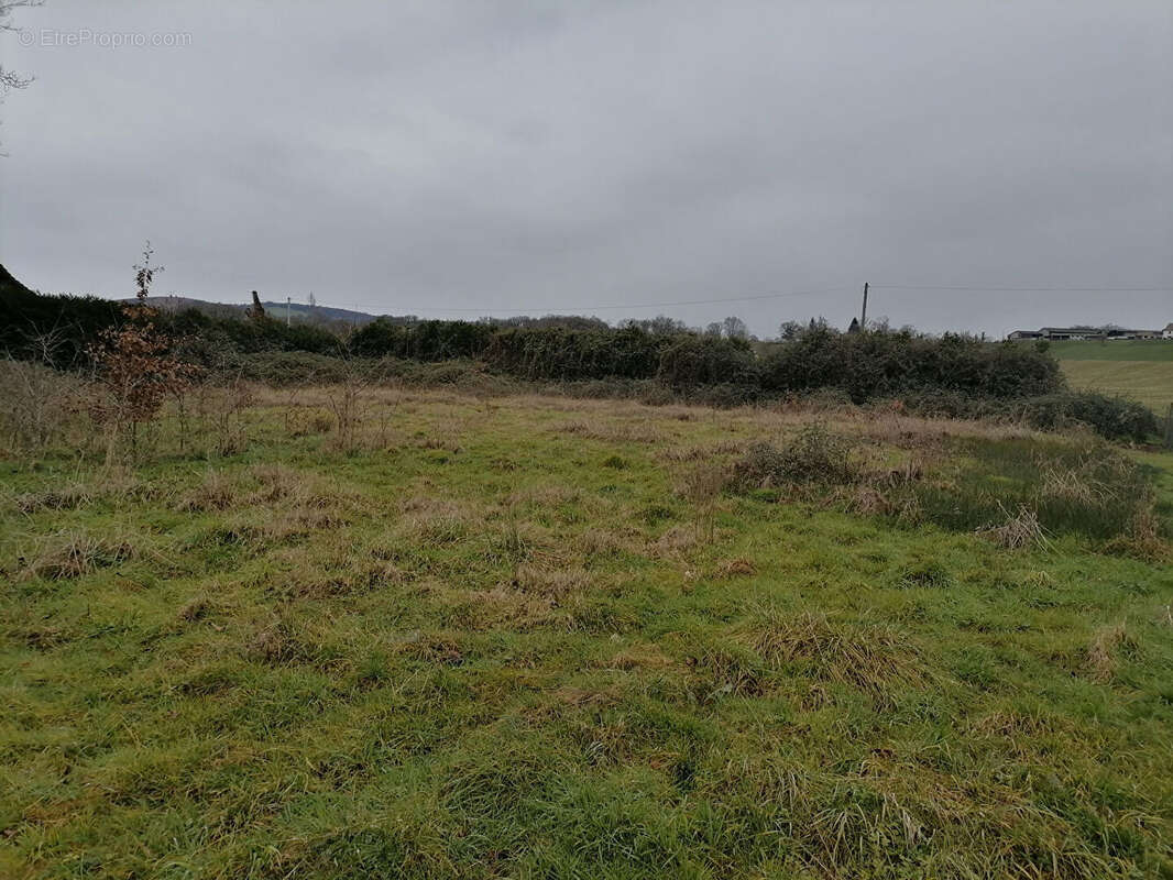 Terrain à ESPES-UNDUREIN