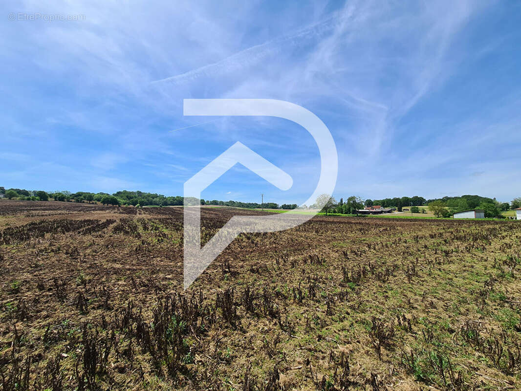 Terrain à ORTHEZ