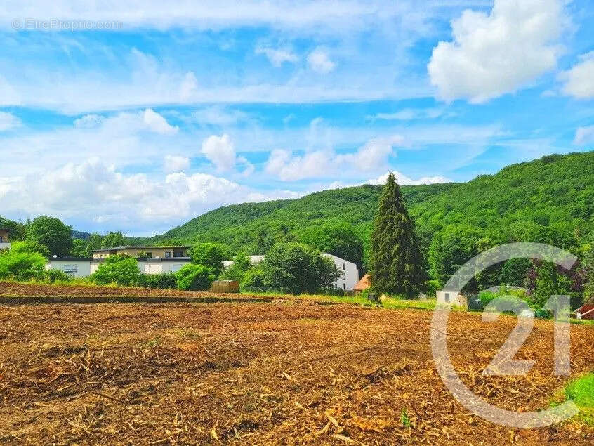Terrain à ARS-SUR-MOSELLE