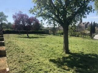 Terrain à SAINT-MELAINE-SUR-AUBANCE