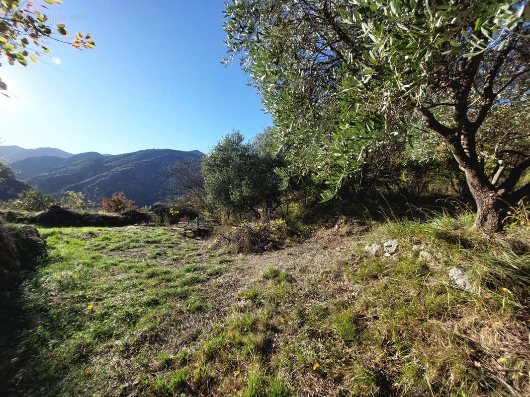 Maison 110 m² à Saorge  - photo 15