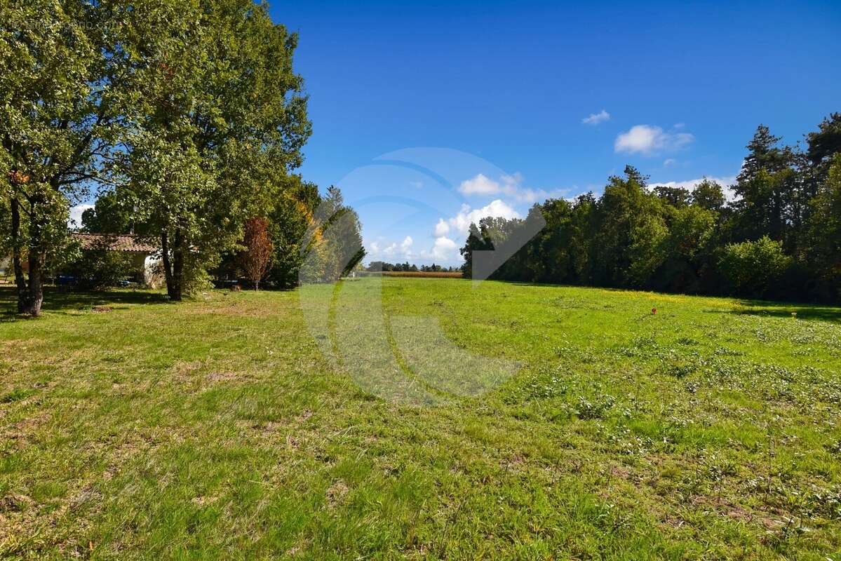 Terrain à NEGREPELISSE