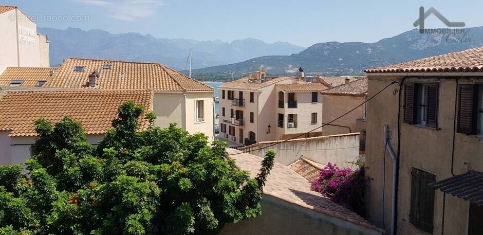 Appartement à CALVI